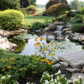 Incorporating Water Features into Your Garden Design: A Complete Guide