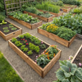Essential Considerations for Designing Your Vegetable and Herb Garden